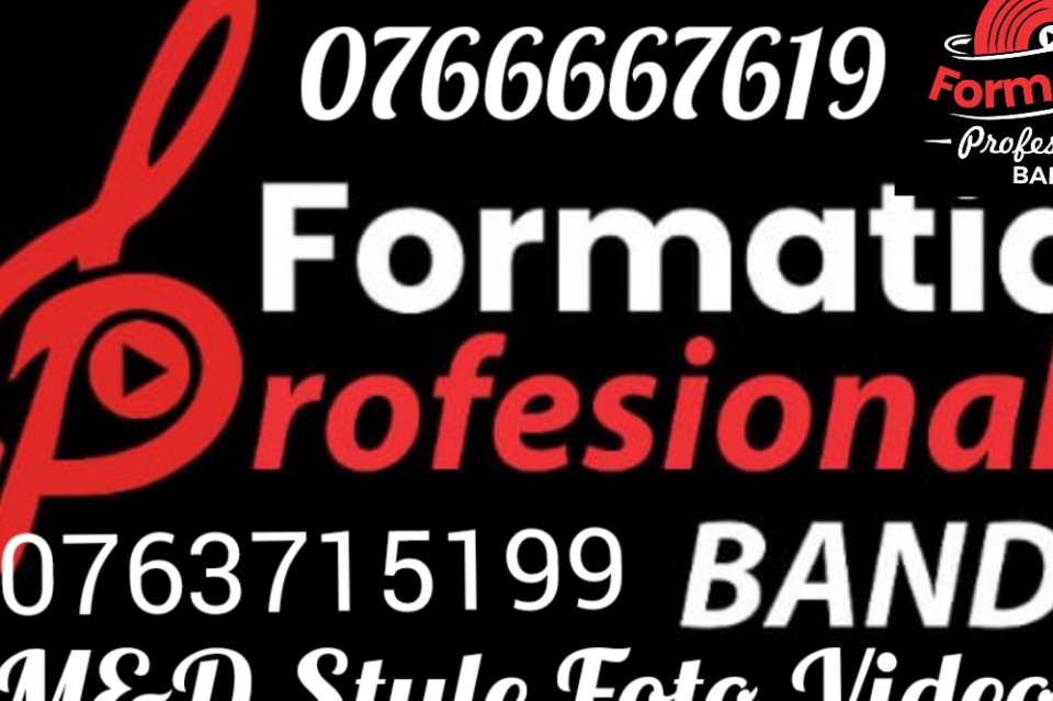 Formatia Profesional Band
