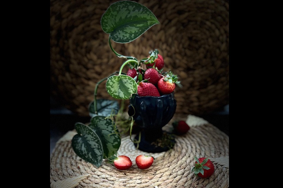 SofMir d’Art Creative decoratiuni bucuresti
