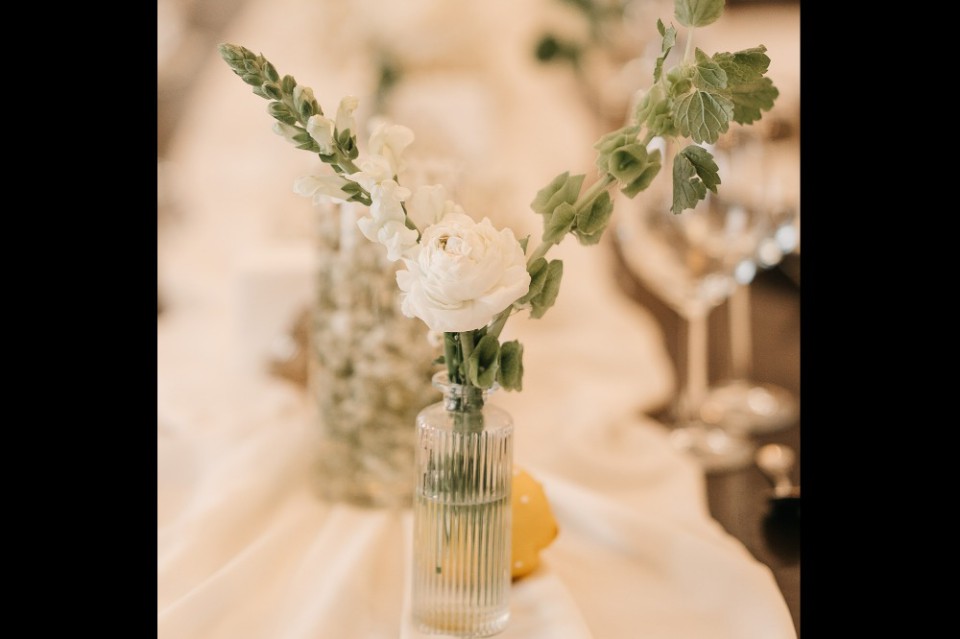 Elixis Events & Decor decoratiuni iasi
